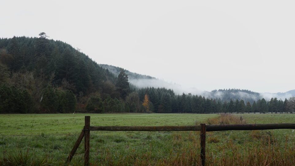 El terreny és un dels factors per calcular el preu construir casa.
La Parcela es uno d elos factores para calcular el precio de construir una casa.
presupuesto de construcción de una casa
